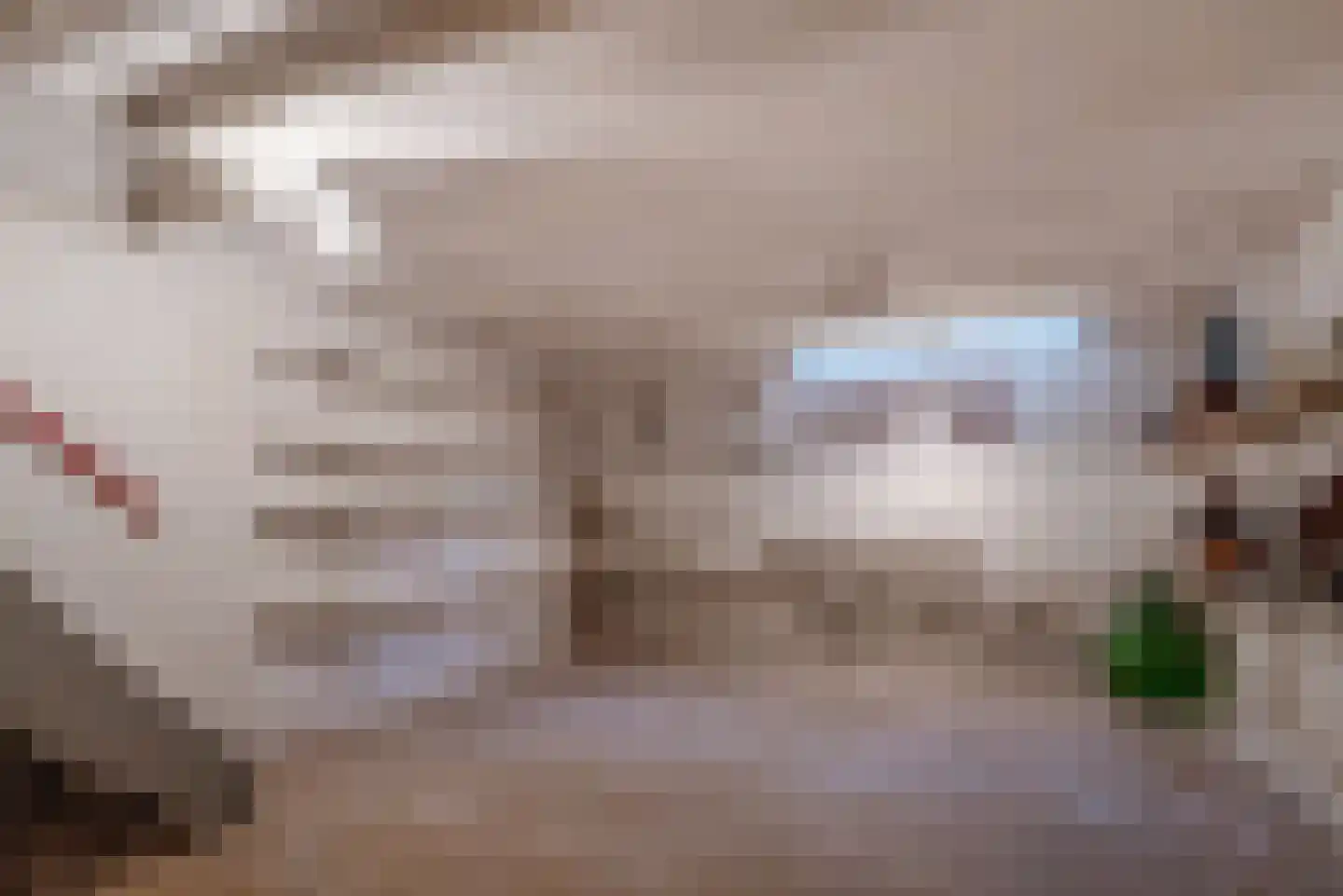 Statenlaan 75 Den Haag thumbnail 63