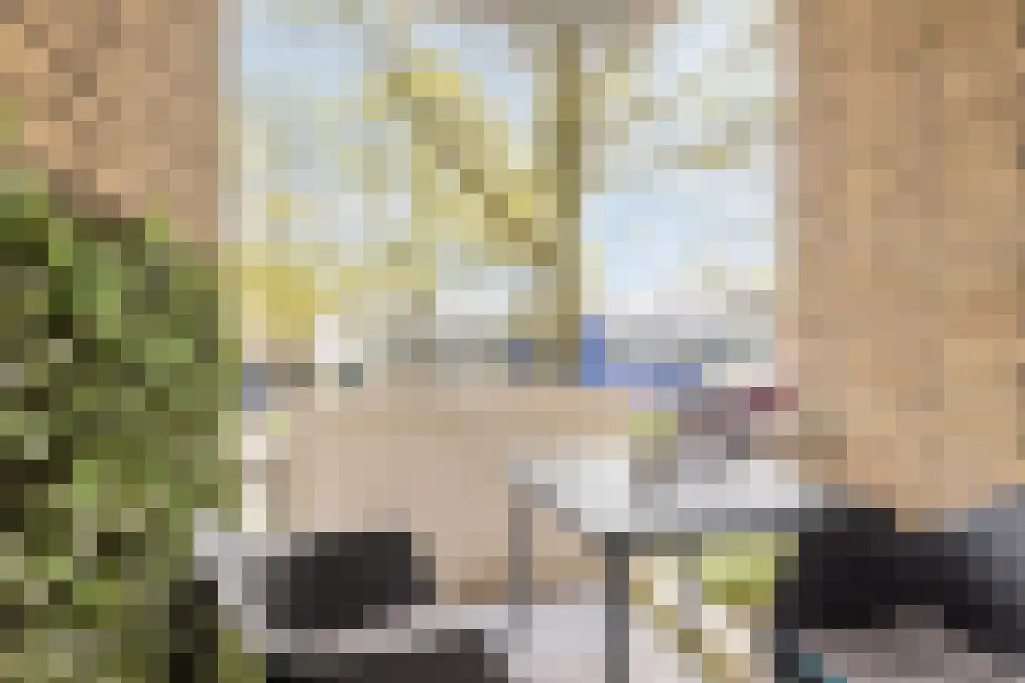 Statenlaan 75 Tilburg thumbnail 35