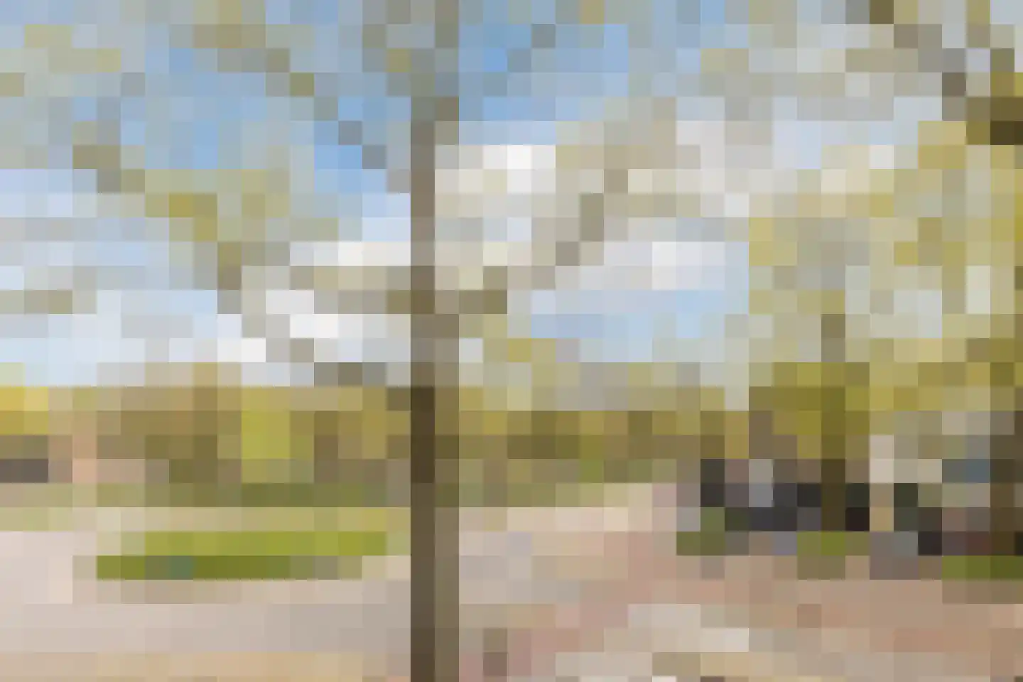 Statenlaan 75 Tilburg thumbnail 36