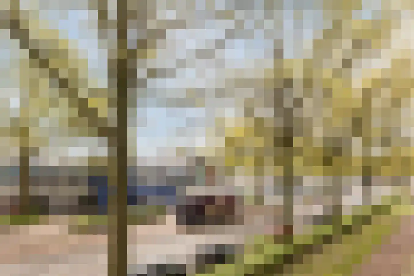 Statenlaan 75 Tilburg thumbnail 37