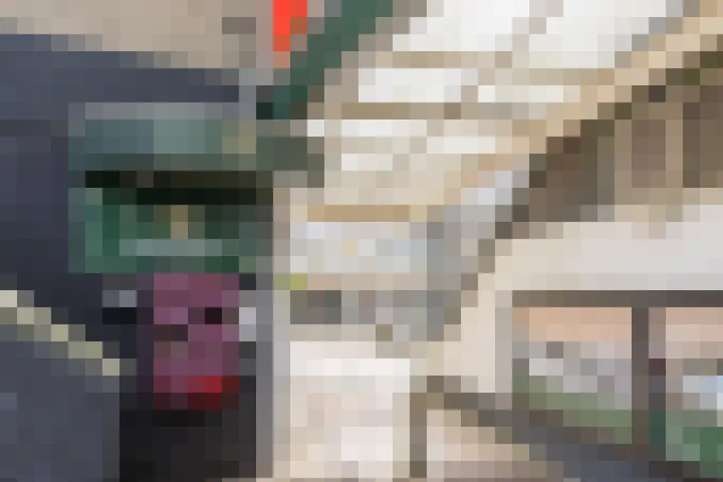 Statenlaan 75 Tilburg thumbnail 39