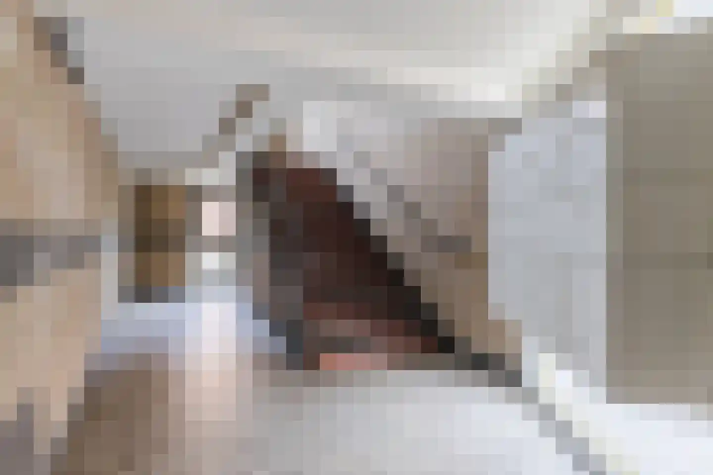 Statenlaan 75 Tilburg thumbnail 7