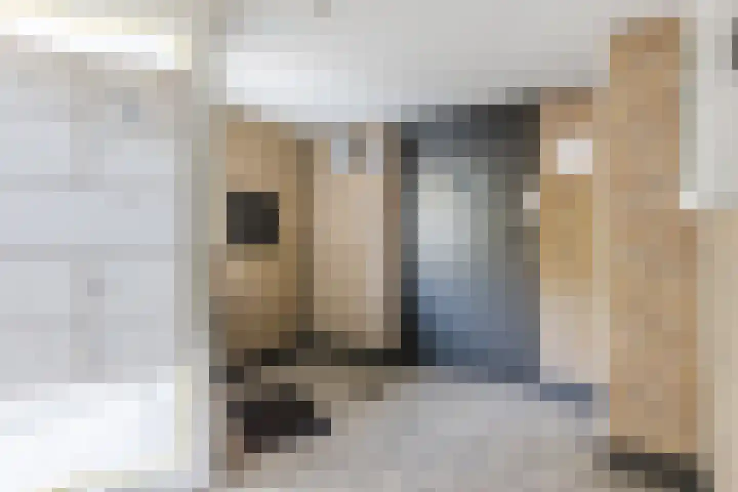 Statenlaan 75 Tilburg thumbnail 8