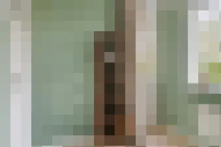 Statenlaan 8 Middelburg thumbnail 12