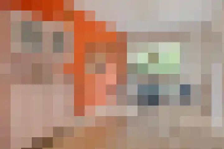 Statenlaan 8 Middelburg thumbnail 5