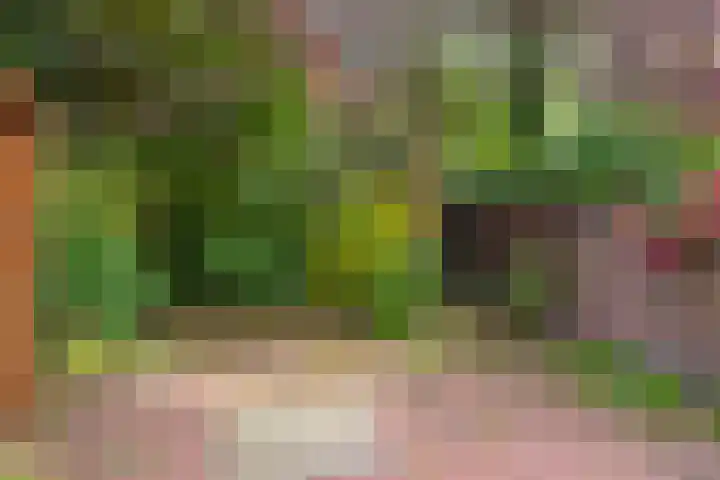 Statenlaan 80 Den Haag thumbnail 12