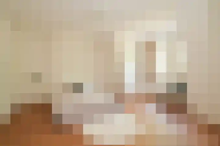 Statenlaan 80 Den Haag thumbnail 30