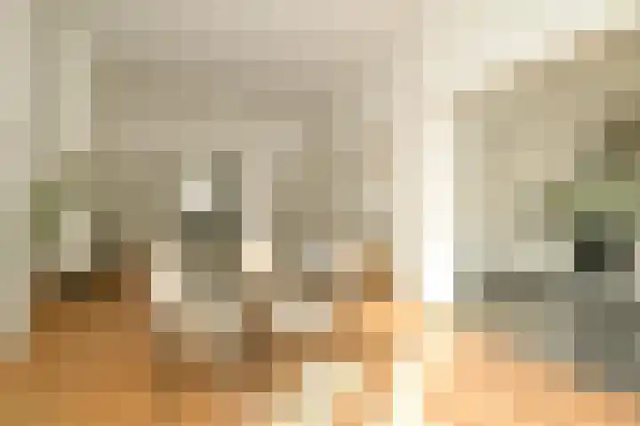 Statenlaan 80 Den Haag thumbnail 7