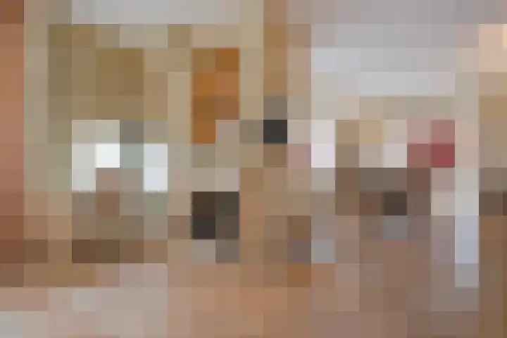 Statenlaan 89 B Den Haag thumbnail 17