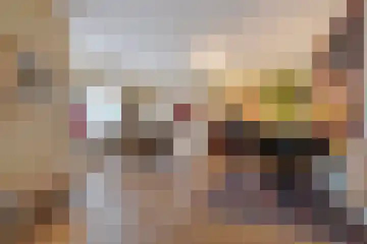 Statenlaan 89 B Den Haag thumbnail 19