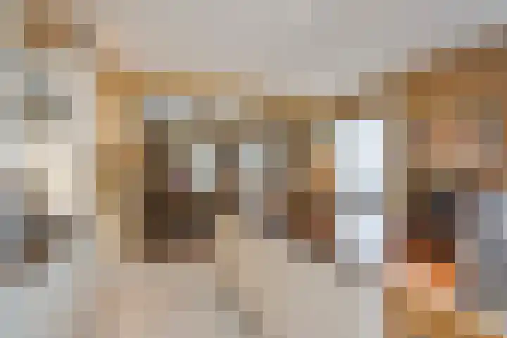 Statenlaan 89 B Den Haag thumbnail 29