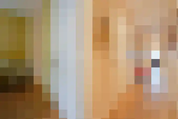 Statenlaan 89 B Den Haag thumbnail 39
