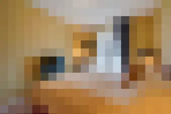 Statenlaan 89 B Den Haag thumbnail 40