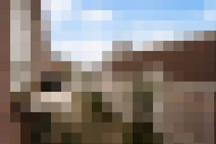 Statenlaan 89 B Den Haag thumbnail 42