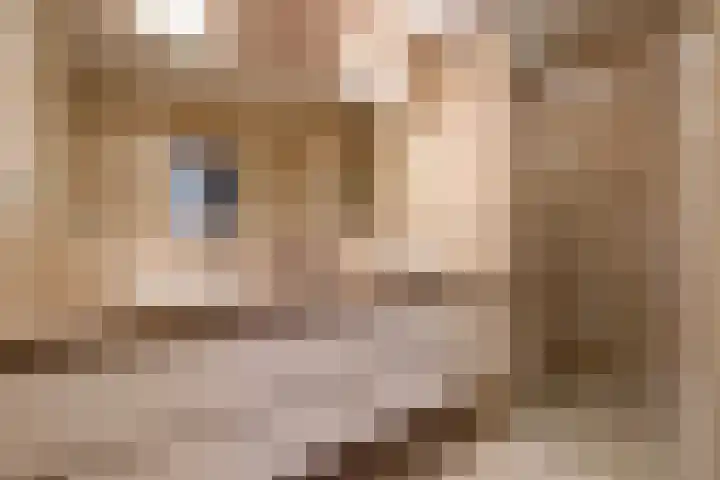 Statenlaan 89 B Den Haag thumbnail 50