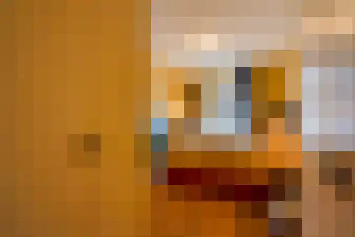 Statenlaan 89 B Den Haag thumbnail 52
