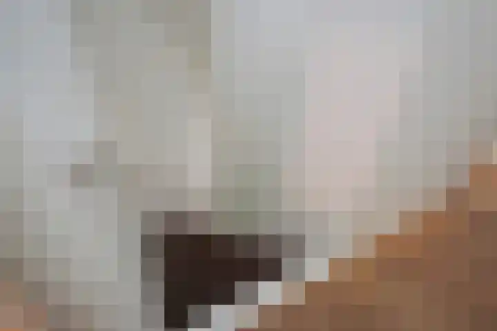 Statenlaan 89 B Den Haag thumbnail 62