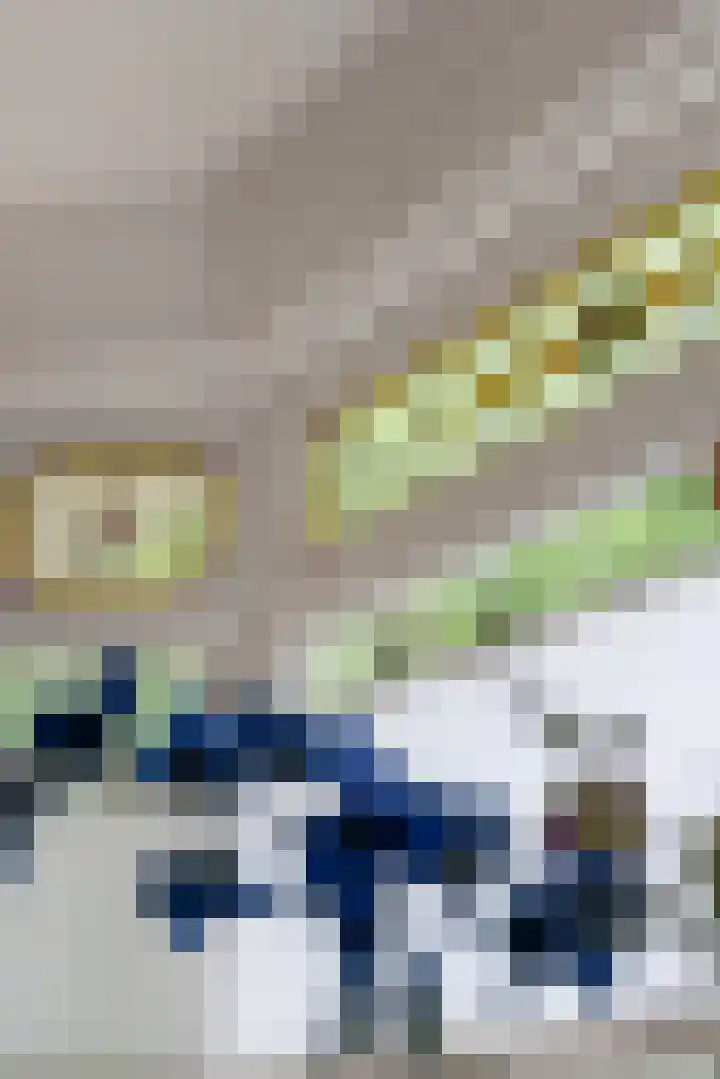 Statenlaan 9 Arnhem thumbnail 10
