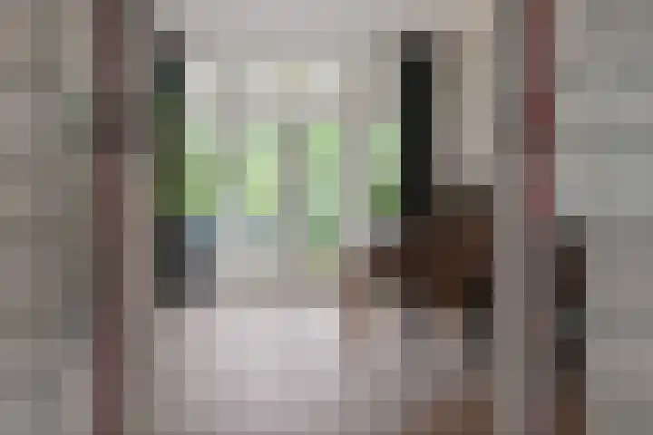 Statenlaan 9 Arnhem thumbnail 12
