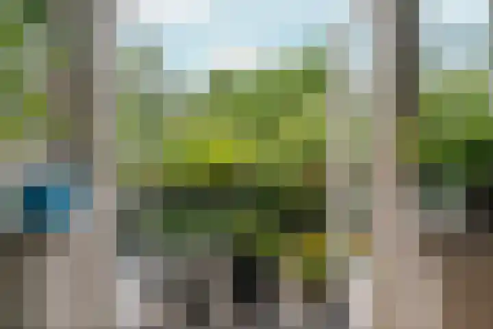 Statenlaan 9 Arnhem thumbnail 16