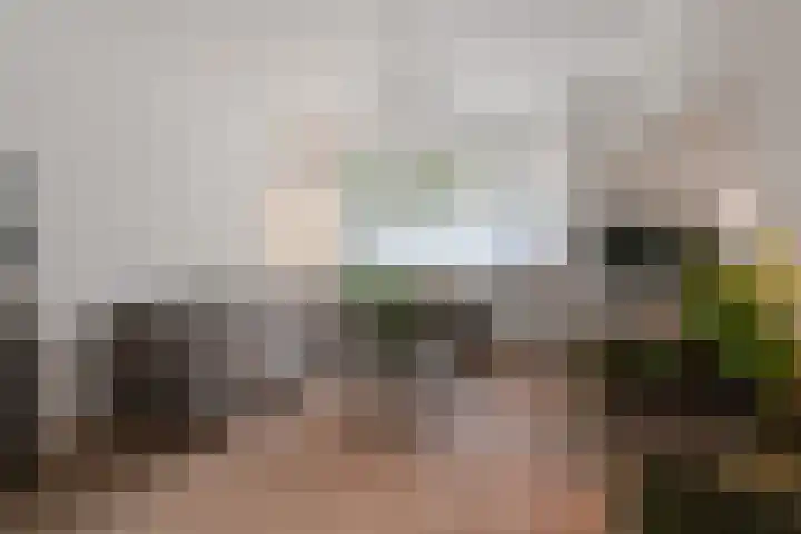 Statenlaan 9 Arnhem thumbnail 6