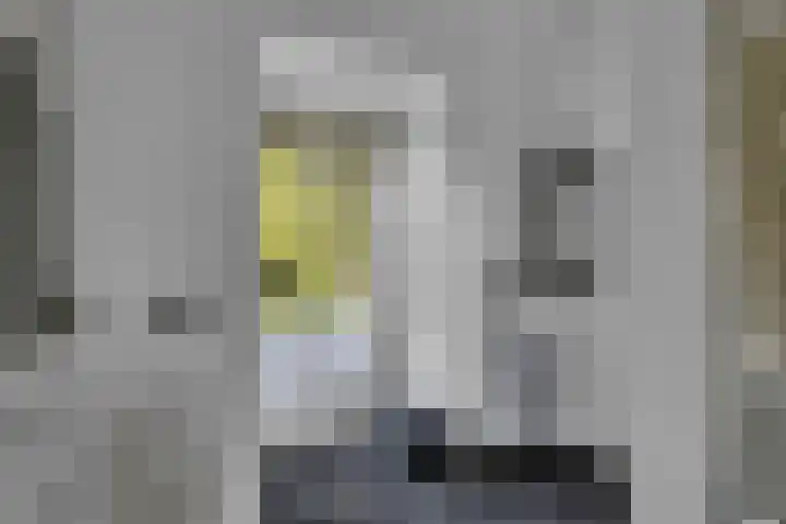 Statenlaan 9 Bussum thumbnail 23