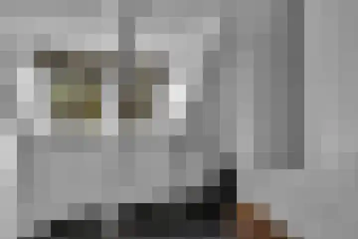 Statenlaan 9 Bussum thumbnail 31