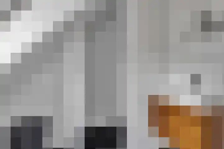 Statenlaan 9 Bussum thumbnail 32
