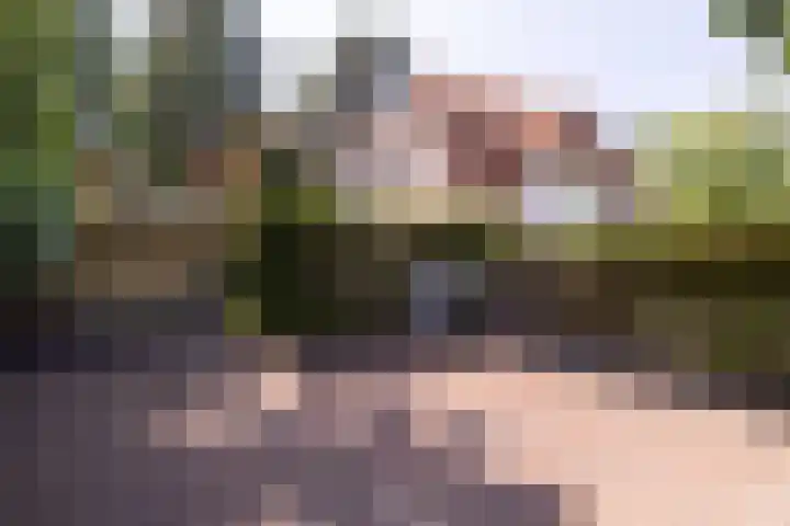 Statenlaan 9 Bussum thumbnail 33