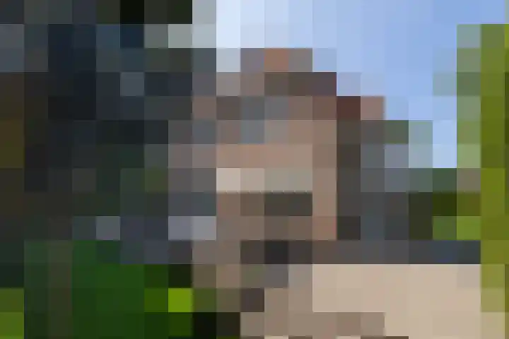 Statenlaan 9 Bussum thumbnail 34