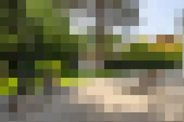 Statenlaan 9 Bussum thumbnail 35