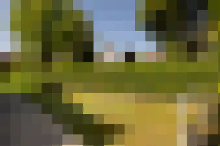Statenlaan 9 Bussum thumbnail 36