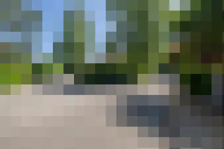 Statenlaan 9 Bussum thumbnail 38