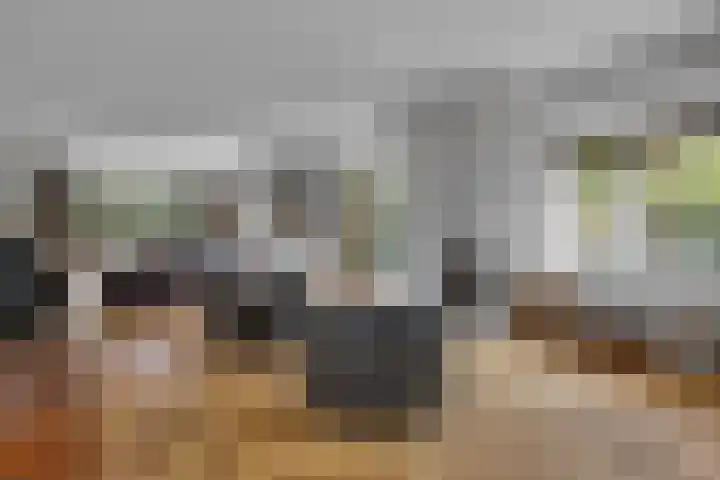 Statenlaan 9 Bussum thumbnail 5