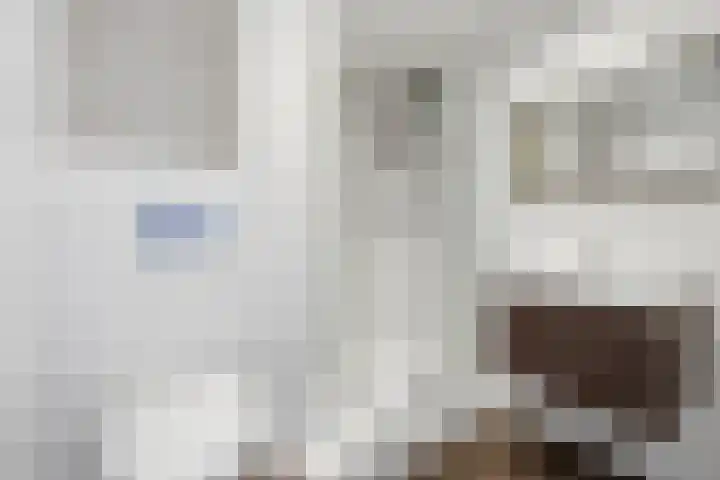 Statenlaan 90 Middelburg thumbnail 17