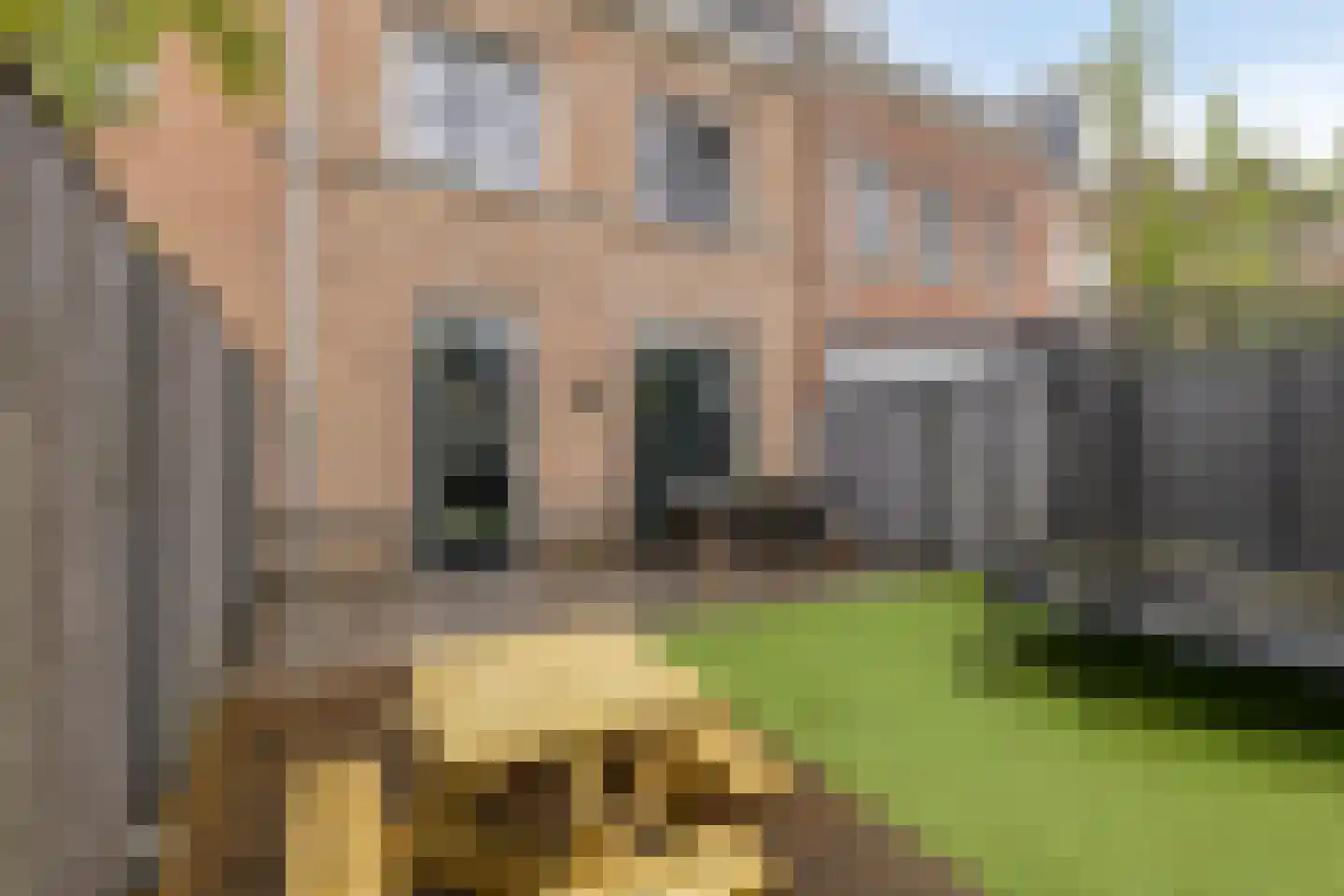 Statenlaan 98 Helmond thumbnail 36