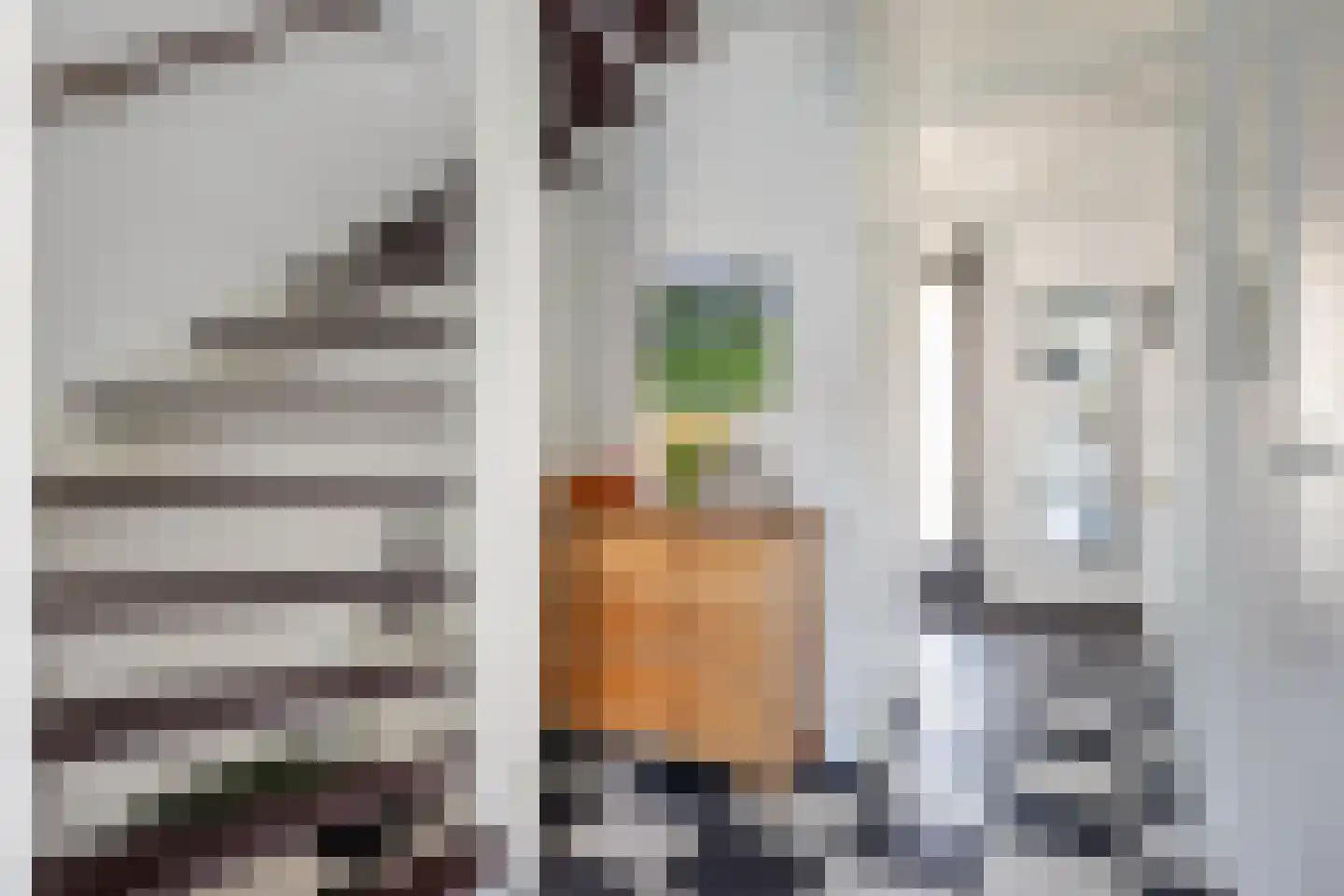 Statenplein 108 Dordrecht thumbnail 23