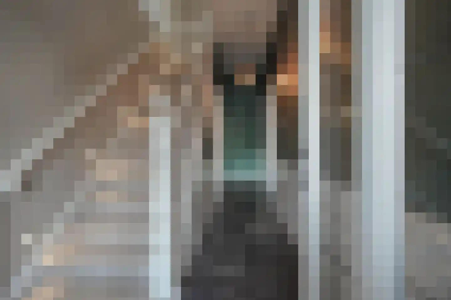 Statenplein 14 Den Haag thumbnail 5