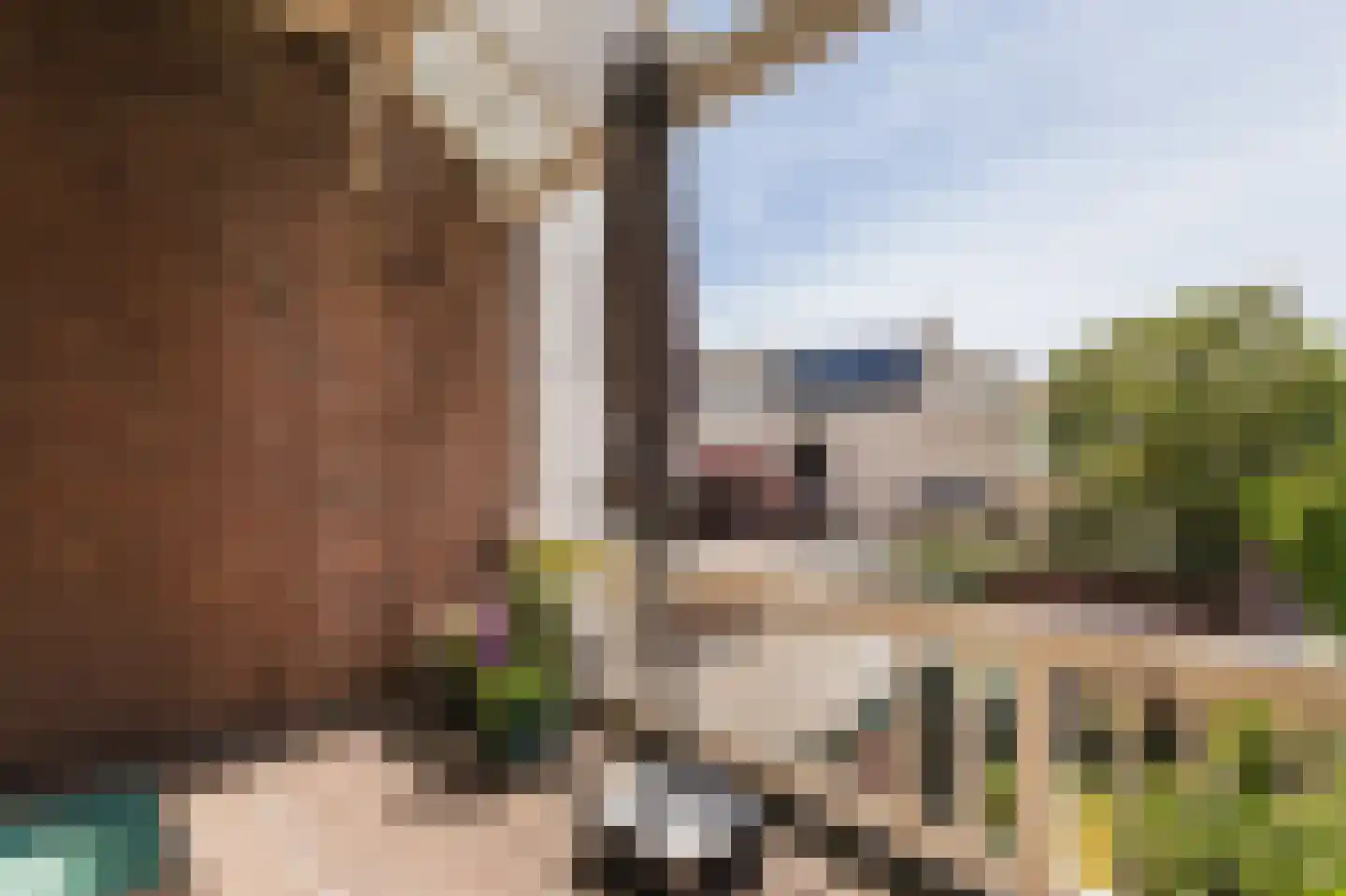Statenplein 20 Den Haag thumbnail 9