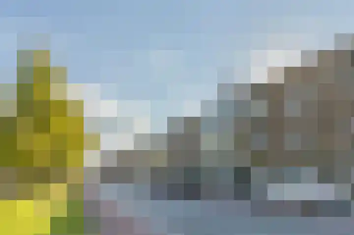 Statensingel 101 Gouda