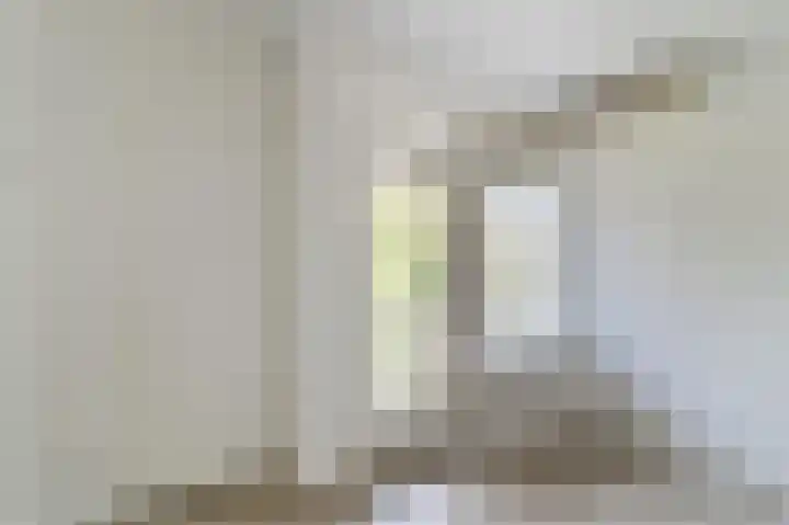 Statensingel 101 Gouda thumbnail 18