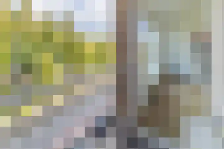 Statensingel 101 Gouda thumbnail 29