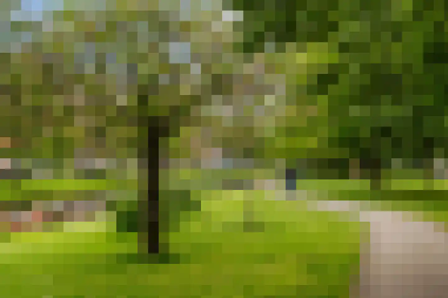 Statensingel 110 B Rotterdam thumbnail 55