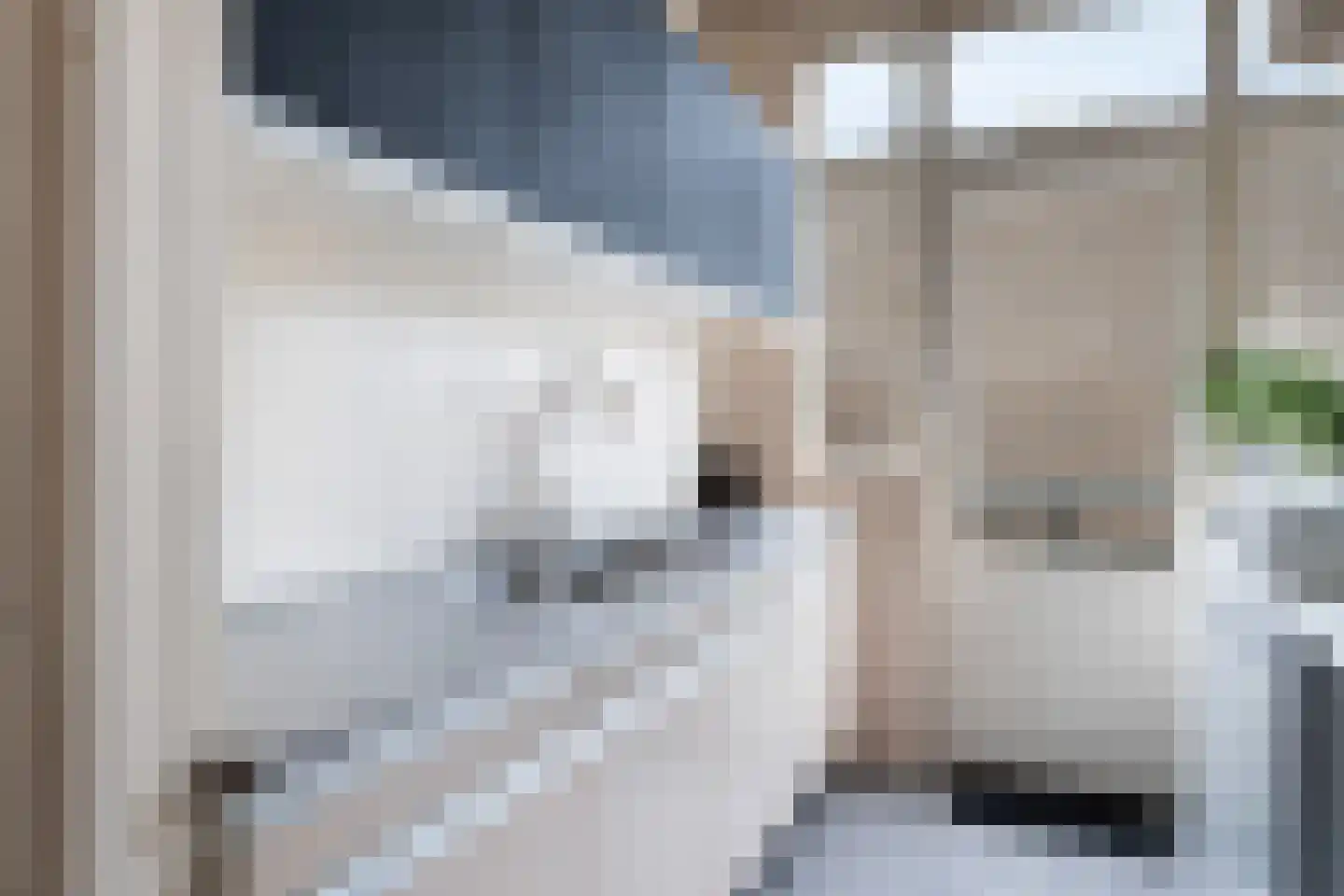 Statensingel 111 A Rotterdam thumbnail 17