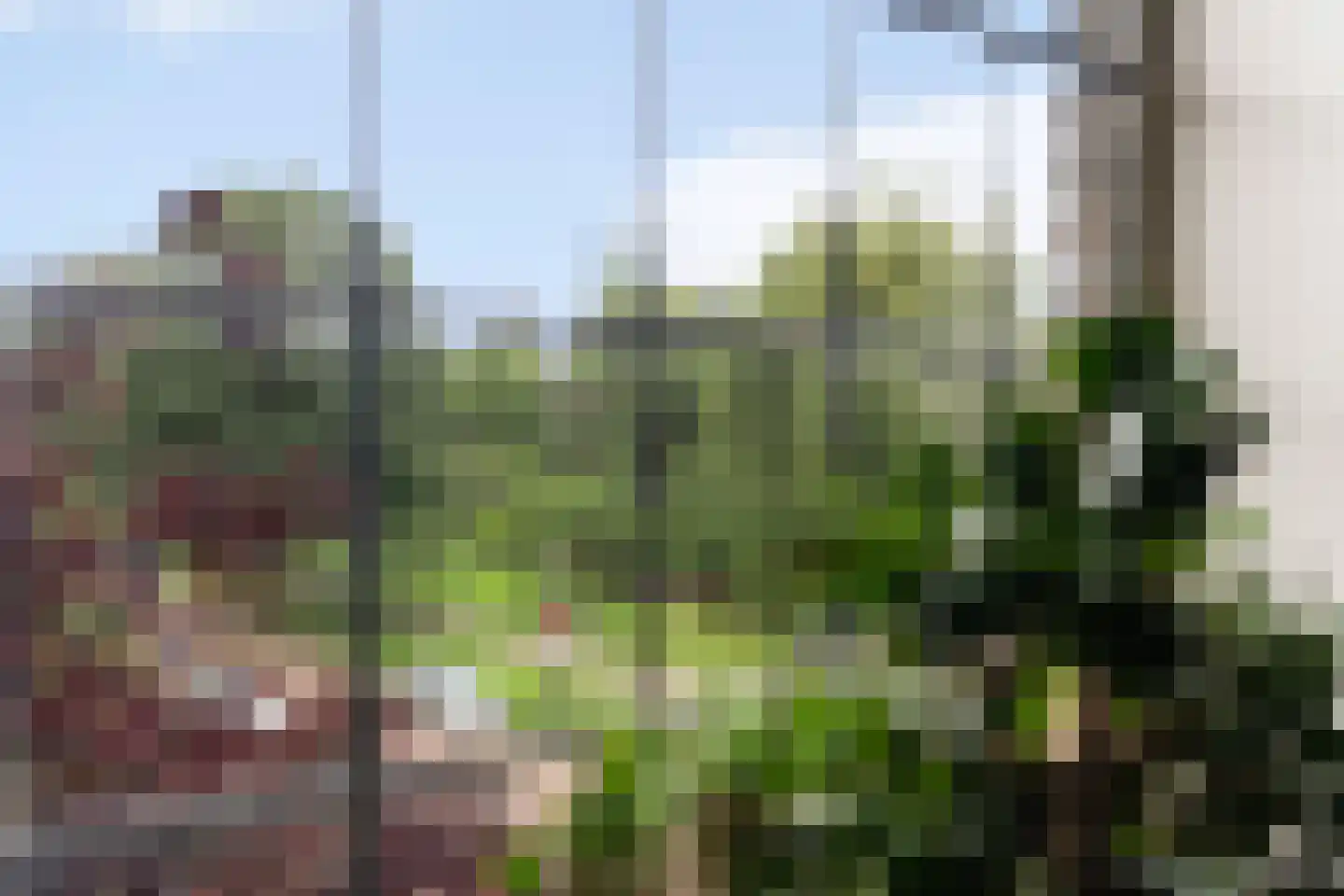 Statensingel 111 A Rotterdam thumbnail 26