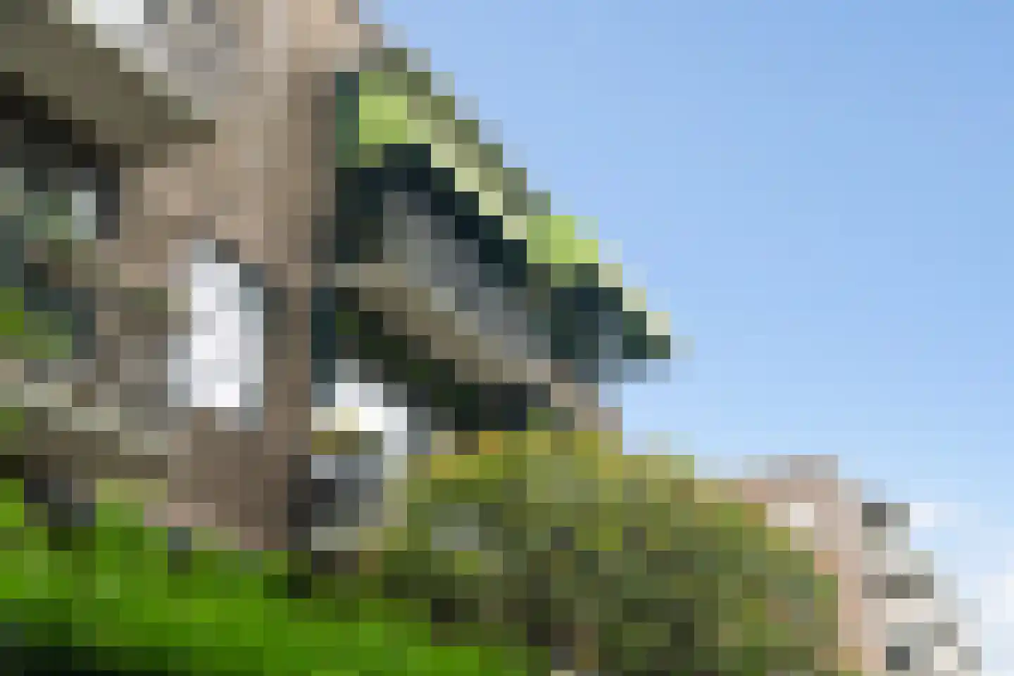 Statensingel 111 A Rotterdam thumbnail 39