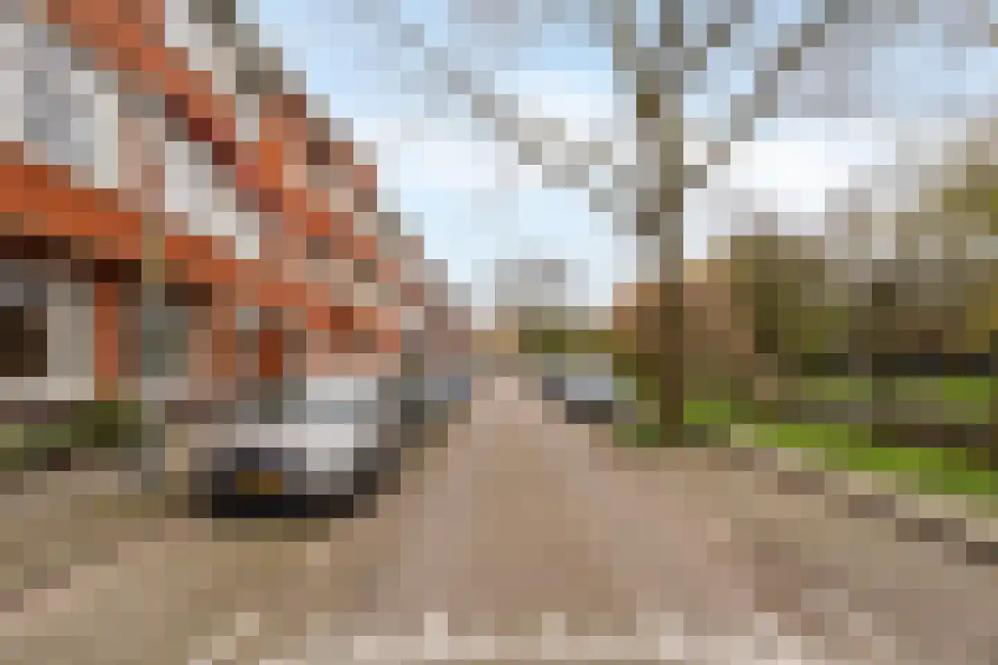 Statensingel 112 B Rotterdam thumbnail 27