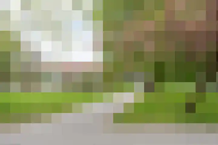 Statensingel 124 A Rotterdam thumbnail 33