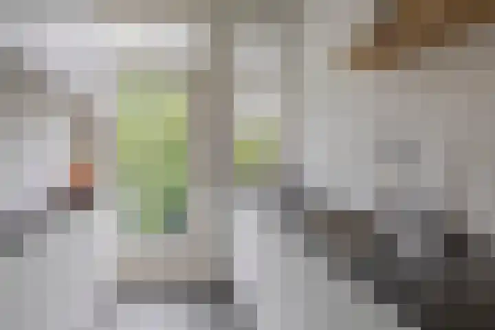 Statensingel 147 01R Rotterdam thumbnail 23