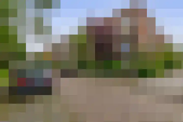 Statensingel 147 01R Rotterdam thumbnail 43